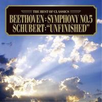 CD/クラシック/ベートーヴェン:交響曲第5番(運命) シューベルト:交響曲第8番(未完成) | surpriseflower