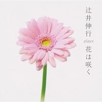 CD/辻井伸行/辻井伸行 plays 花は咲く | surpriseflower