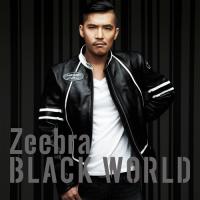 CD/Zeebra/Black World/White Heat【Pアップ | surpriseflower