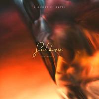 CD/A Ghost of Flare/Soulburner | surpriseflower