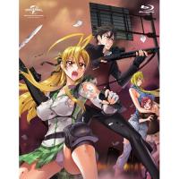 BD/TVアニメ/学園黙示録 HIGHSCHOOL OF THE DEAD Blu-ray BOX(Blu-ray) | surpriseflower