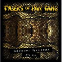 CD/タイガース・オブ・パンタン/ライヴ1981〜ヘルバウンド・スペルバウンド | surpriseflower