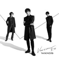 CD/WANDS/Version 5.0 (CD+Blu-ray) (初回限定盤A)【Pアップ | surpriseflower