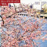 CD/サニーデイ・サービス/東京 (ライナーノーツ) (通常盤)【Pアップ | surpriseflower