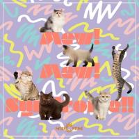 【取寄商品】CD/MEWCATUNE/Mew!Mew! Symdrome!! | surpriseflower
