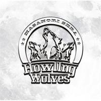 CD/世良公則/Howling Wolves | surpriseflower