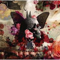 CD/sads/FALLING Ultimate Edition (通常盤)【Pアップ | surpriseflower