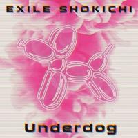 CD/EXILE SHOKICHI/Underdog | surpriseflower