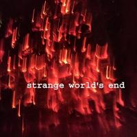 【取寄商品】CD/strange world's end/strange world's end (紙ジャケット) | surpriseflower