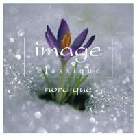 CD/オムニバス/イマージュ クラシーク〜ノルディーク-北欧の音楽 | surpriseflower