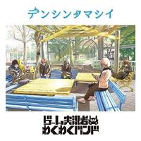 CD/ゲーム実況者わくわくバンド/デンシンタマシイ | surpriseflower