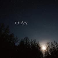 CD/みのや雅彦/stardust | surpriseflower