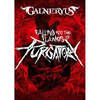 DVD/GALNERYUS/FALLING INTO THE FLAMES OF PURGATORY (DVD+2CD) (完全生産限定版) | surpriseflower