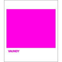 CD/Vaundy/strobo | surpriseflower
