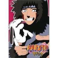 DVD/キッズ/NARUTO-ナルト-3rd STAGE 2005 巻ノ七【Pアップ | サプライズweb