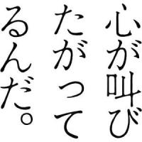 DVD/邦画/心が叫びたがってるんだ。 豪華版 (本編ディスク1枚+特典ディスク2枚) (完全生産限定豪華版) | サプライズweb