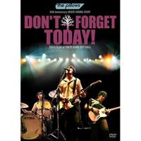 DVD/the pillows/the pillows 25th Anniversary NEVER ENDING STORY DON'T FORGET TODAY! 2014.10.04 at TOKYO DOME CITY | サプライズweb