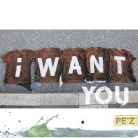 CD/PE'Z/I WANT YOU | サプライズweb