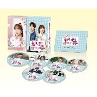 DVD/海外TVドラマ/ネコの手も借りたい恋 DVD-SET2 | サプライズweb