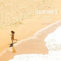 CD/オムニバス/HONEY meets ISLAND CAFE Sea Of Love 5 (紙ジャケット) | サプライズweb