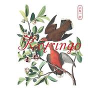 ★DVD/コトリンゴ/小鳥一会「小鳥観察 kotringo Best」発売記念ライブ 2020 【Pアップ】 | サプライズweb