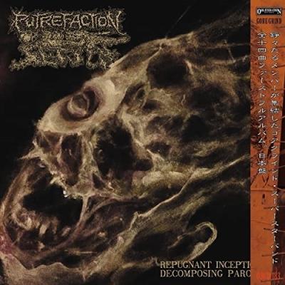 ゴアグラインド Lord Goreセット CD コレクション ゴアグラインド Lord Goreセット CD コレクション - メルカリ