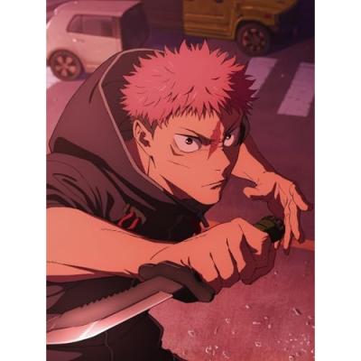 呪術廻戦 dvdの商品一覧 通販 - Yahoo!ショッピング