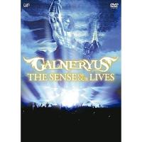 DVD/GALNERYUS/THE SENSE OF OUR LIVES (本編ディスク+特典ディスク)【Pアップ | サプライズweb