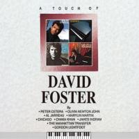 CD/デイヴィッド・フォスター/タッチ・オブ・デイヴィッド・フォスター (SHM-CD) (解説歌詞付) | サプライズweb