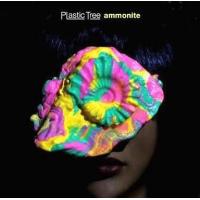 中古邦楽CD Plastic Tree / ammonite[限定版] | 駿河屋ヤフー店
