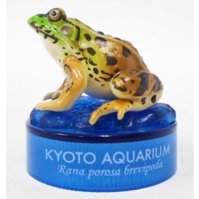京都水族館の商品一覧 通販 - Yahoo!ショッピング