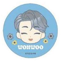 SEVENTEEN セブチ ウォヌ BE THE SUN 缶バッジ アクスタ SEVENTEEN グッズ ウォヌのおすすめ人気商品一覧 通販 - Yahoo