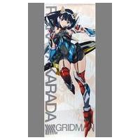 新品未開封　SSSS. GRIDMAN グリッドマン　タペストリー　宝多六花 51mGl7ea5-L._UF350,350_QL50_.jpg