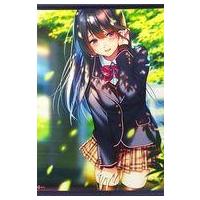 ピロ水（コレクション、趣味） | 楽器、手芸、コレクション のおすすめ