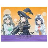 青春ブタ野郎　青ブタ　桜島麻衣　非売品　特大 タペストリー　おでかけ ver. 青春ブタ野郎 青ブタ 桜島麻衣 非売品 特大 タペストリー