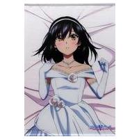 ストライクザブラッド 姫柊雪菜 抱き枕のおすすめ人気商品一覧 通販