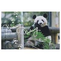 箱入りシャンシャン 商品特集「Thank youシャンシャン」のお知らせ｜上野動物園の
