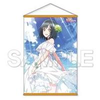 ワンピースタペストリ Tapestry [Accessories missing] B2 Tapestry drawn from Boa