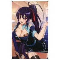 ハイスクールd×d 姫島朱乃（トレーディングカード） | ゲーム