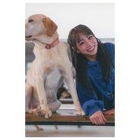 北野日奈子写真集の商品一覧 通販 - Yahoo!ショッピング