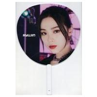 itzy リュジン（コレクション、趣味） | 楽器、手芸、コレクション の