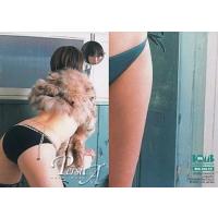 中古コレクションカード(女性) Waka Inoue 079 ： 井上和香/レギュラーカード/井上和香 2 トレーディング