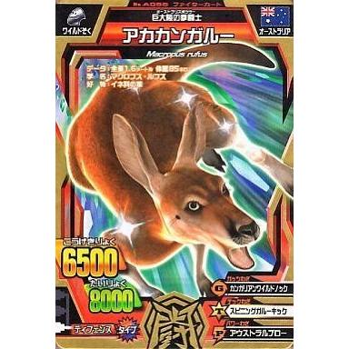 アニマルカイザー カードのおすすめ人気商品一覧 通販 - Yahoo