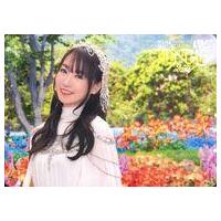 水樹奈々 nanaca（言語：日本語）のおすすめ人気商品一覧 通販 - Yahoo