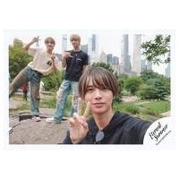 那須雄登（楽器、手芸、コレクション）のおすすめ人気商品一覧 通販