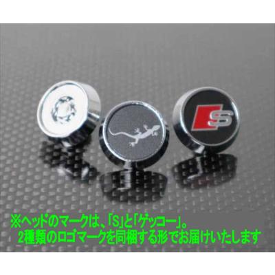 Audi純正 ライセンスプレート盗難防止用ロックボルト Audi アウディ 純正 ライセンスプレート 盗難防止用 ロック