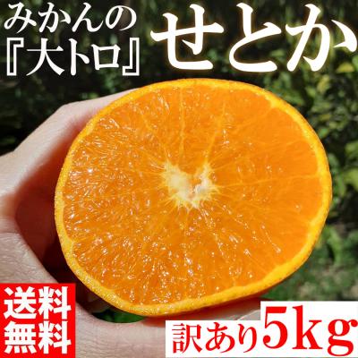 せとか 訳ありのおすすめ人気商品一覧 通販 - Yahoo!ショッピング