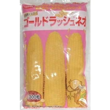 ゴールドラッシュ とうもろこし 種のおすすめ人気商品一覧 通販