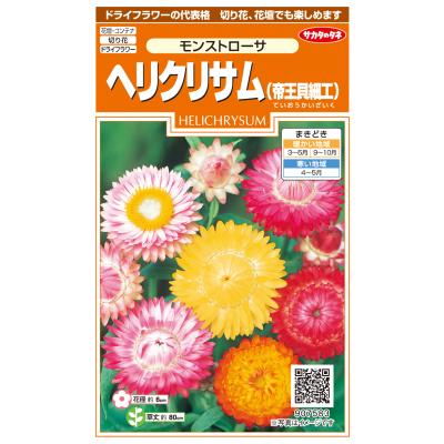 ヘリクリサム貝細工のおすすめ人気商品一覧 通販 - Yahoo!ショッピング