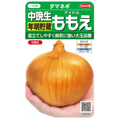 玉ねぎ苗　ももタウルス 玉ねぎ苗 ももタウルス 楽天市場】野菜の苗 タマネギ 【中生】約100本